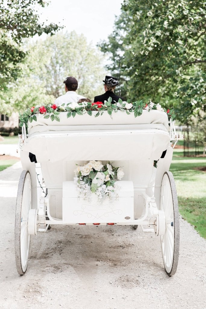 wedding horse and carriage for bride 